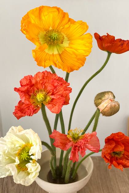 Un ramo exclusivamente de amapolas: como pierden los pétalos muy rápido, lo mejor es combinar pimpollos y flores abiertas.