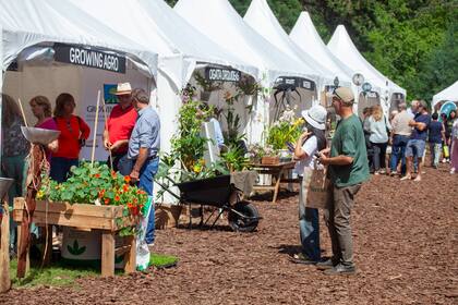 Un recorrido por alguno de los stands de Jardín Fest 2024.