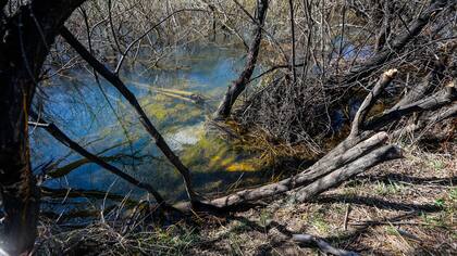 Identificar un cuerpo que estuvo sumergido puede ser muy complejo