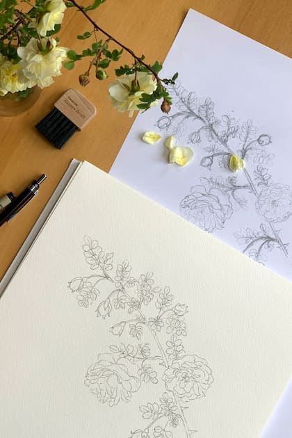 Un registro minucioso de la flora patagónica