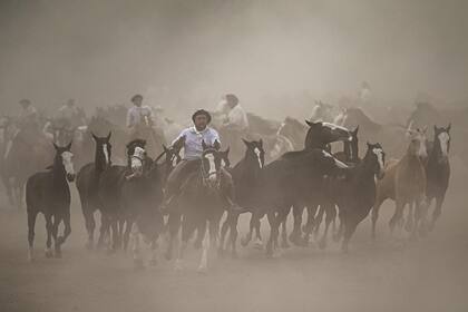 Un remolino de polvo envuelve la alocada cabalgata de cientos de caballos en la prueba denominada "entrevero de tropillas"