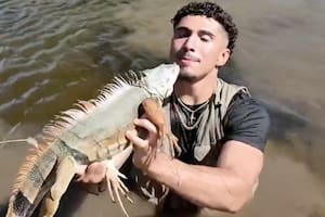 Lo llaman el “Tarzán cubano” y es famoso por atrapar a las iguanas congeladas que caen de los árboles