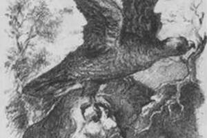 Un reto visual difícil que uno debe solucionar en solo seis segundos