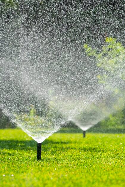 Un riego inteligente transforma tu jardín y reduce el desperdicio de agua