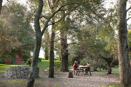 Un rincón para la tarde, al pie de los árboles tandilenses.