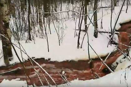 La aparición de un río de sangre bañó las costas de la República de Carelia, al noroeste de Rusia