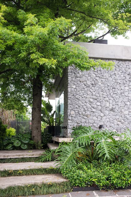 Un roble preexistente se cuidó y mantuvo durante toda la obra.