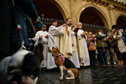 Un sacerdote bendice a las personas y sus animales afuera de la Parroquia San Nicolas en Pamplona, España