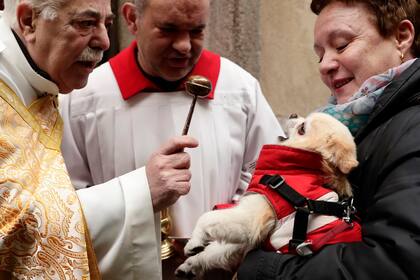 Un sacerdote unge un perro en la Parroquia de San Antón durante la fiesta de San Antonio, el santo patrono de los animales de España en Madrid, España.