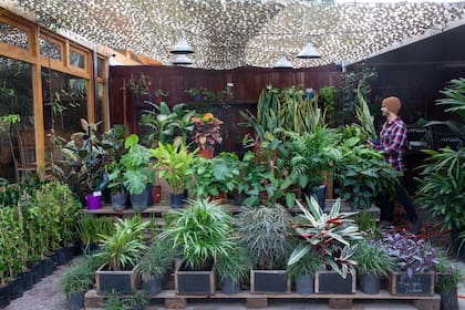 Un sector de vivero aporta el paisaje verde y una experiencia de compra y disfrute distinta para un restaurante