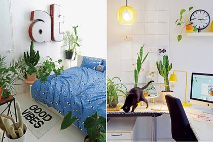 Un selvtico cuarto y un jovial espacio de trabajo, propuestos por Judith en joelix.com