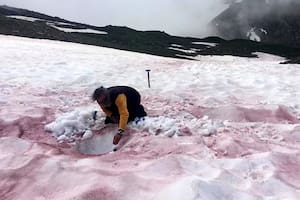 Sangre de glaciar: el impactante fenómeno que congrega a científicos en los Alpes