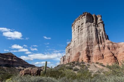 Un sismo de magnitud 5 se registró este sábado por la tarde en la provincia de La Rioja, con epicentro en cercanías de la localidad de Chepes