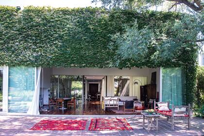 Un solado de ladrillo cuadrado se expande en el último patio. La gran tipa provee sombra y traspasa la altura de la casa, dando la idea de que el árbol la cobija.
