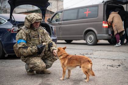 Un soldado alimenta a un perro tras la retirada rusa de Vorze, Ucrania