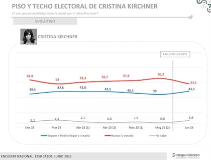 Un sondeo sobre la imagen de Cristina después de la condena en su contra