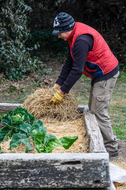 Un suelo bien cubierto es clave para que las raíces no sufran. El mulching es el equivalente a ponerle un buen abrigo a tus plantas