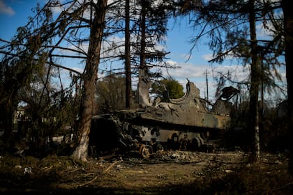 Un tanque ruso destruido se ve entre los árboles en Kurilovka, Ucrania, el domingo 16 de octubre de 2022. Kurilovka  fue retomada por el ejército ucraniano a finales de septiembre. (AP Foto/Francisco Seco)