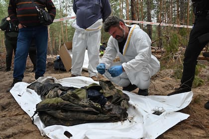 Un técnico forense inspecciona un cuerpo encontrado en un bosque en  Izyum, al este de Ucrania, donde ese país ha denunciado el hallazgo de 450 tumbas (Sergey  BOBOK / AFP)