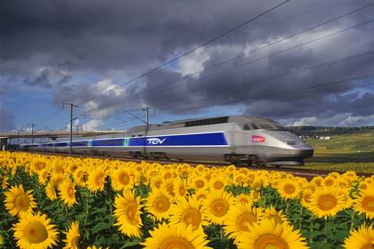 Un TGV francés