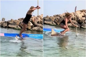 Una surfista fue atacada por un tiburón y causó estupor en las redes sociales