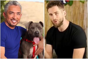 Un tiktoker desafió la palabra de César Millan y recibió cientos de críticas