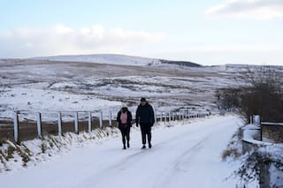 Un toque de naturaleza aporta equilibrio y bienestar durante la jornada laboral