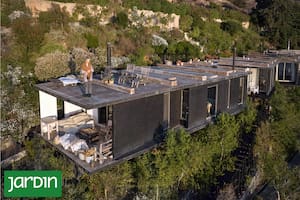 Un proyecto experimental combina especies nativas y exóticas para crear un sistema resiliente