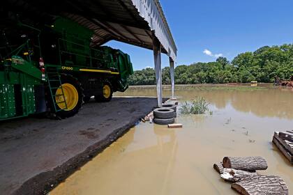 Un tractor de recolección de algodón de Grosvenor Farms, aislado por la inundación en Holly Bluff, Mississippi