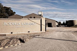 Un turista murió en una bodega de Mendoza tras caer a una pileta de molienda