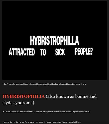 Un usuario de Tumblr comparte una publicación sobre tener "hibristofilia", que implica la atracción sexual o romántica hacia personas que cometieron delitos o actos violentos. "No estás solo", suma en un video donde muestra a varios tiradores escolares y escribe "True Crime Community"