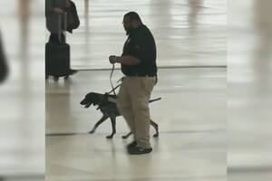Un usuario del aeropuerto grabó al hombre mientras tiraba agresivamente del perro y lo compartió en redes sociales