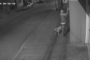 Un vecino de Azul robó una bandera de la selección argentina y generó polémica en las redes sociales