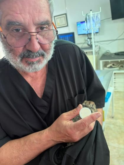 Un vecino que transitaba por la ruta rescató a la cría sobreviviente. (Parque Nacional Nahuel Huapi)