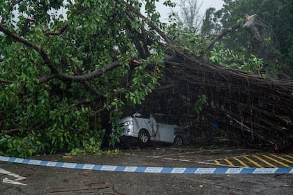 Un vehículo dañado por árboles caídos tras el paso del tifón Wipha en Hong Kong, el domingo 20 de julio de 2025. (AP Foto/Vernon Yuen)