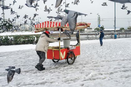 Un vendedor tira maíz a las palomas en el distrito Eminonu de Estambul