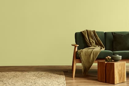 Tendencias 2026. Desde dormir mejor hasta hacer foco: mirá todo lo que podés lograr con estos seis colores creados para mejorar tu bienestar