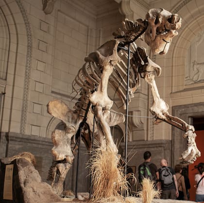 Un viaje al pasado a través de charlas, recorridos y descubrimientos