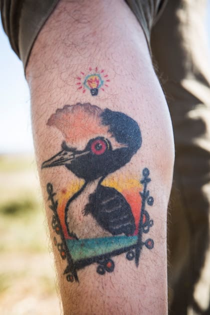 El Dr Kini Roesler, investigador del proyecto Macá Tobiano de Aves Argentinas, lleva al macá tobiano tatuado en su piel.