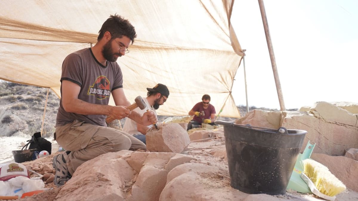 Huevos de titanosaurios de 72 millones de años reescriben la prehistoria europea