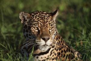 Cómo es el parque nacional donde es posible un cara a cara con animales salvajes