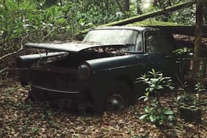 Salió a caminar por el bosque con sus amigos y se encontró un impresionante “cementerio de autos”