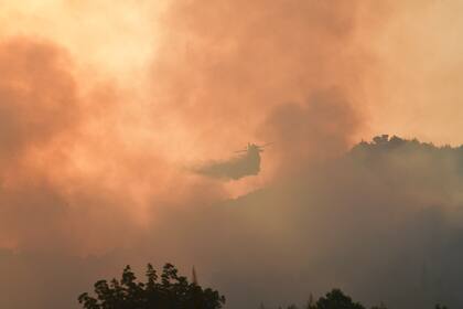 Una aeronave arroja agua durante un incendio forestal en la antigua Olimpia, en el oeste de Grecia, el jueves 5 de agosto de 2021. (Giannis Spyrounis/ilialive.gr via AP)