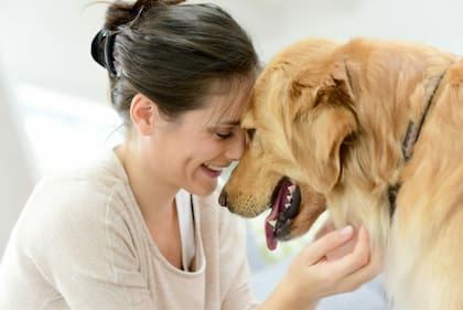 Una alimentación equilibrada que contengan estas vitaminas lograrán muchos beneficios en el organismo del animal