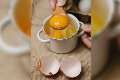 Una alimentación que incluya una cantidad adecuada de proteínas puede contribuir al desarrollo y el mantenimiento de músculos fuertes (Foto Pexels)