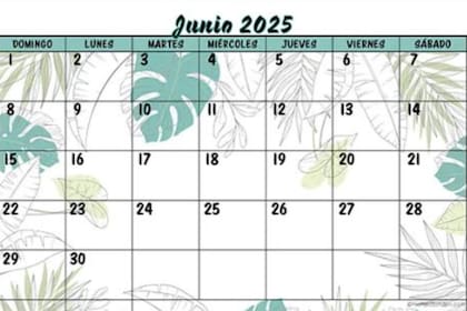 Una alternativa para imprimir en junio 2025