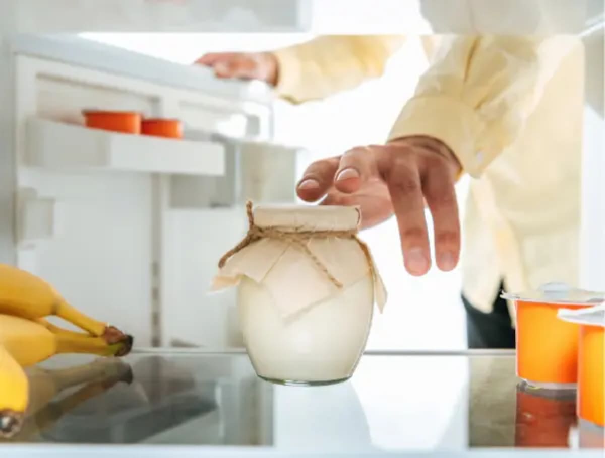 Qual alimento melhora a flora intestinal e é considerado “ouro branco”?