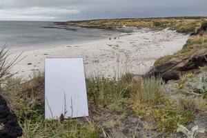 Una antena de Starlink en las costas de Puerto Argentino, en las islas Malvinas