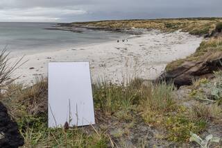 El gobierno de Malvinas bloquea Starlink y amenaza a los isleños con una multa a los que contraten el servicio