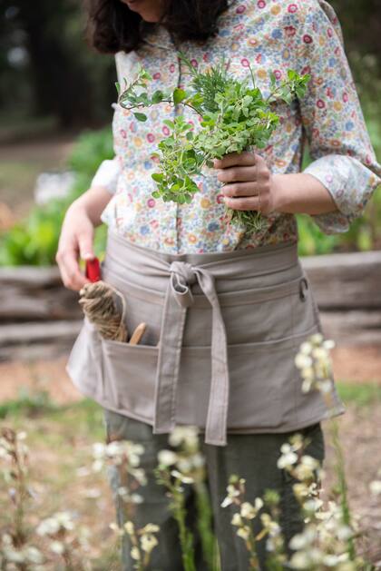 Una aromática bien formada, compacta y aireada se integra mejor en el espacio